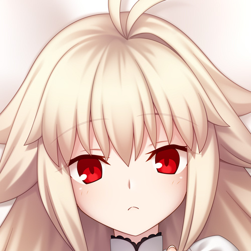 エコアルク お顔アップ 表面